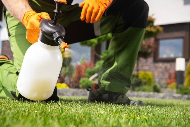 Best Pest Prevention Services  in Valmeyer, IL