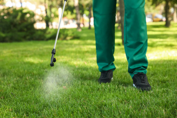 Best Affordable Pest Control Services  in Valmeyer, IL