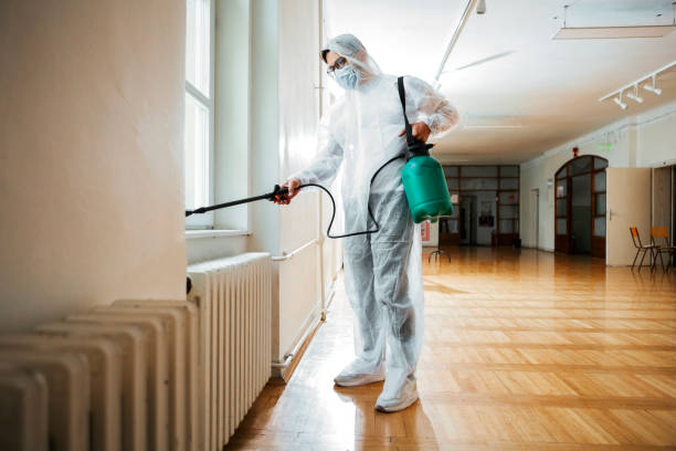 Best Flea Control Services  in Valmeyer, IL