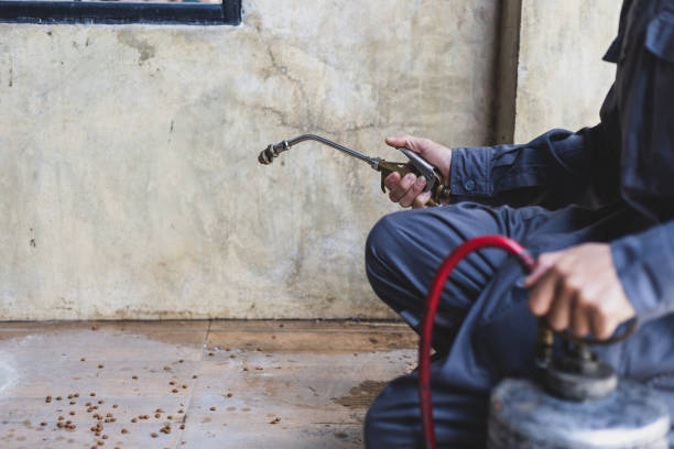 Best Best Pest Control Companies  in Valmeyer, IL